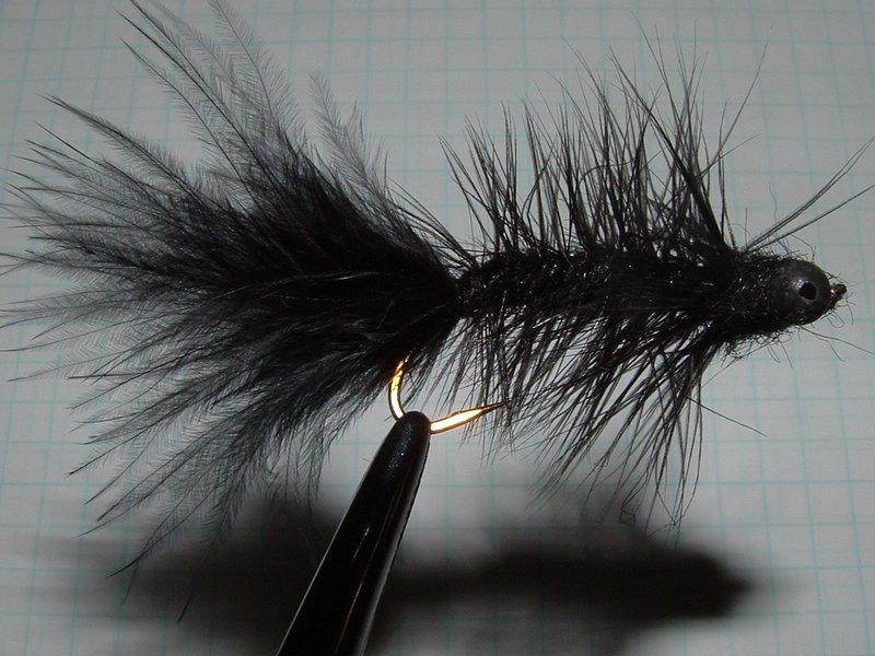 black woolly bugger