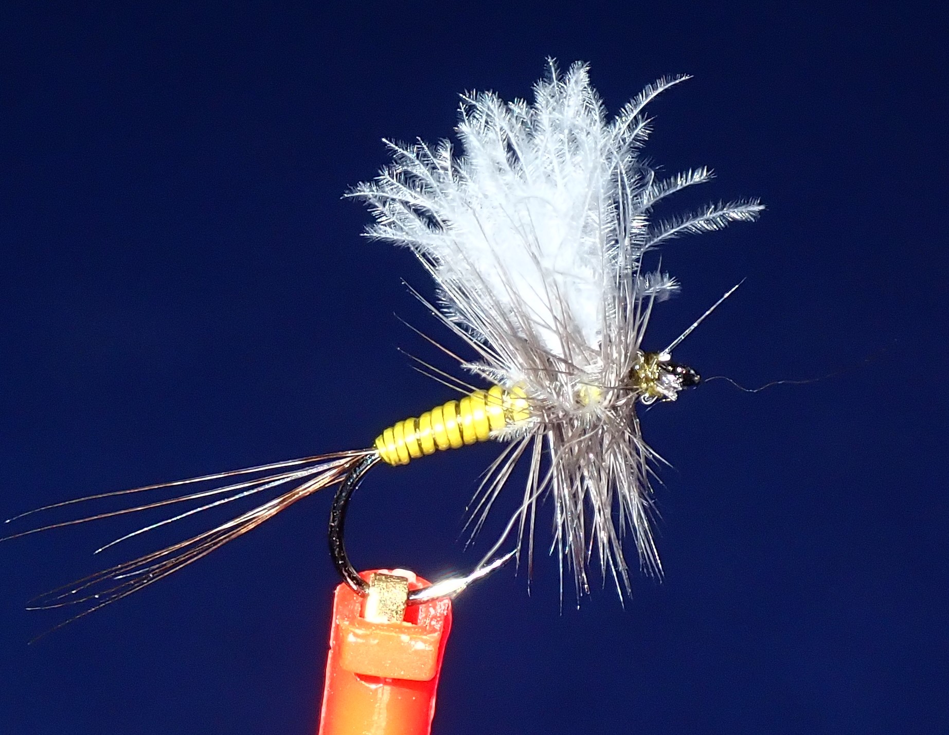 bwo emerger