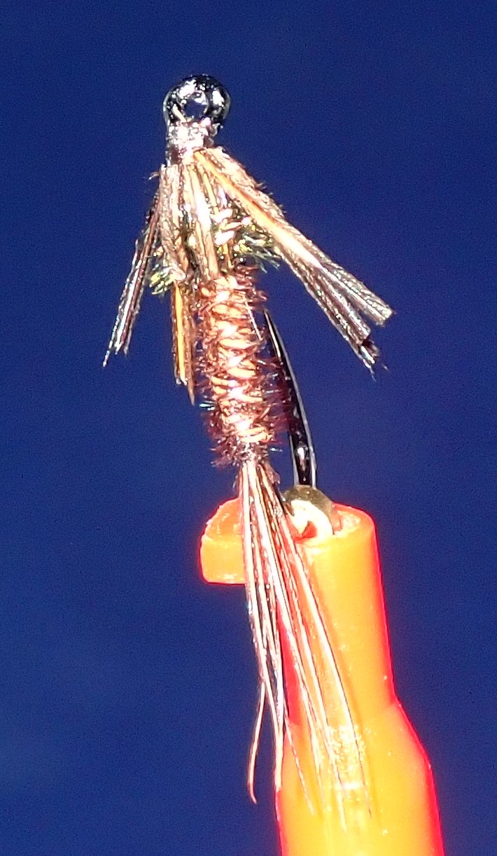 pheasant tail nymph