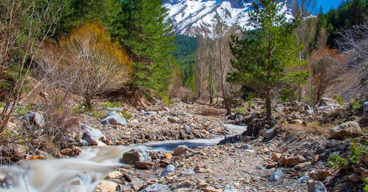 east fork black river
