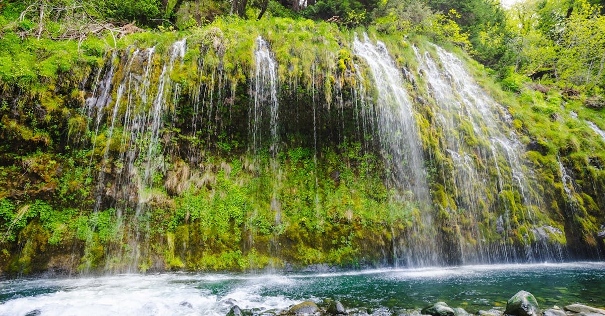 upper sacramento river