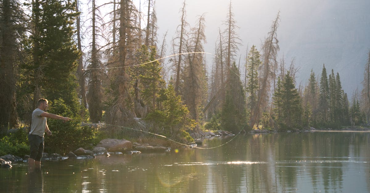 Fly fishing in Colorado