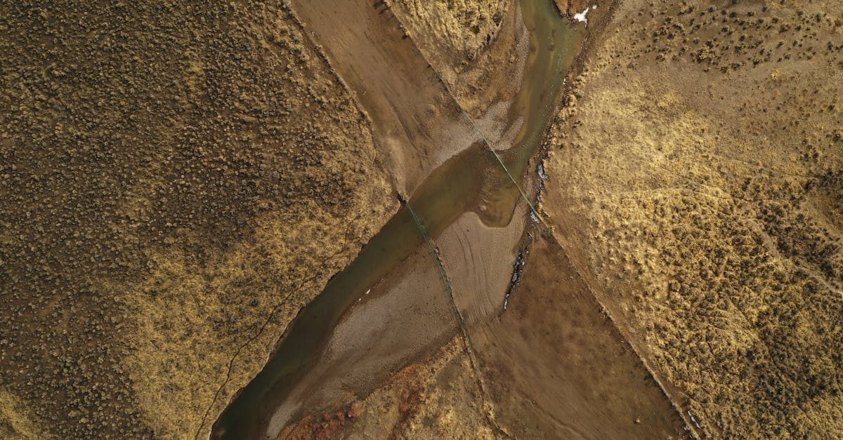 Fly fishing in Nevada