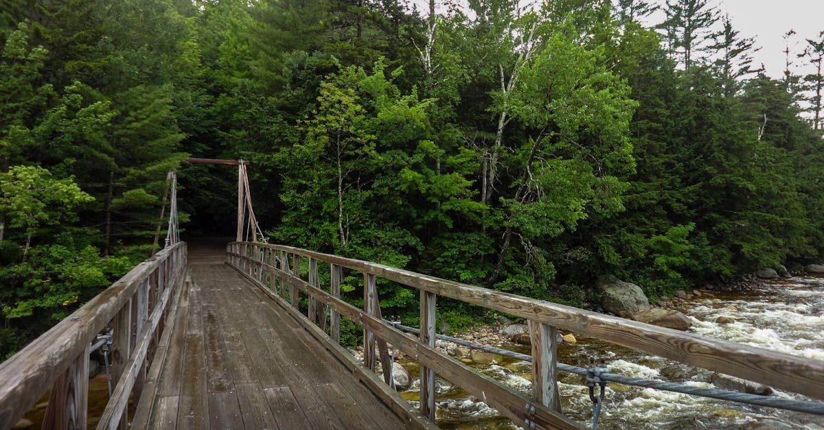 Fly fishing in New Hampshire