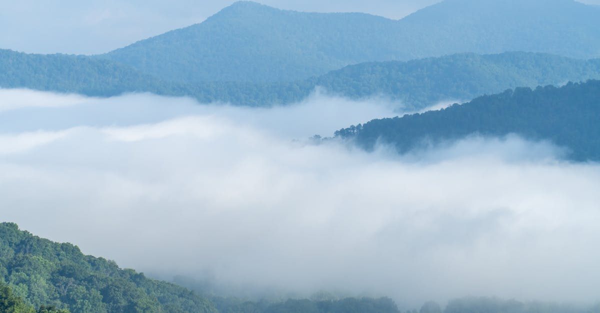 Fly fishing in North Carolina
