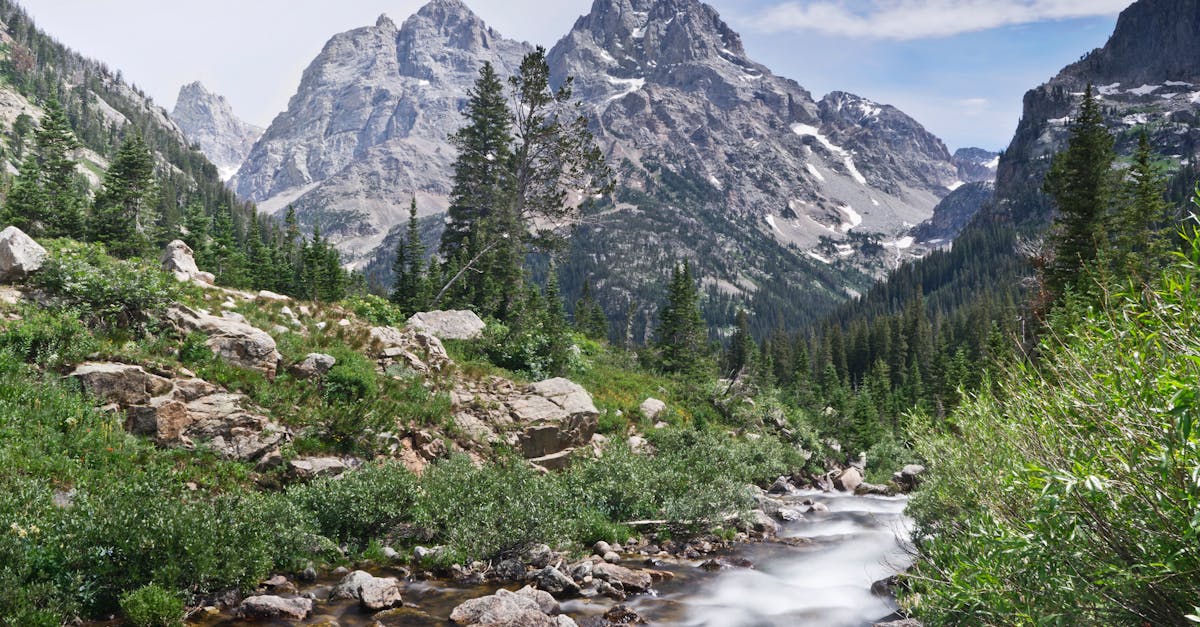 Fly fishing in Wyoming